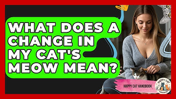 What Does A Change In My Cat