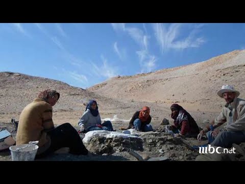 ديناصور مصري عمره 70 مليون سنة تعرف على القصة الكاملة مع شريف عامر