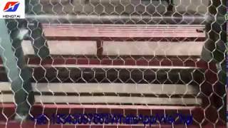Straight and reverse twisted hexagonal chicken mesh netting machine