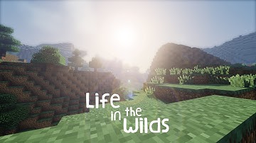 Life in the Wilds | Intro (Now with 100% more Lens Flare)