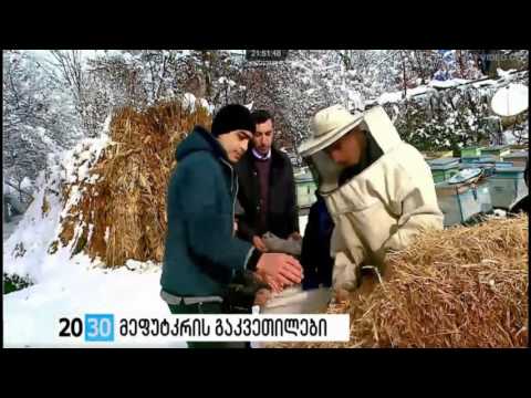 ZAZA IVANIDZE * ზაზა ივანიძე