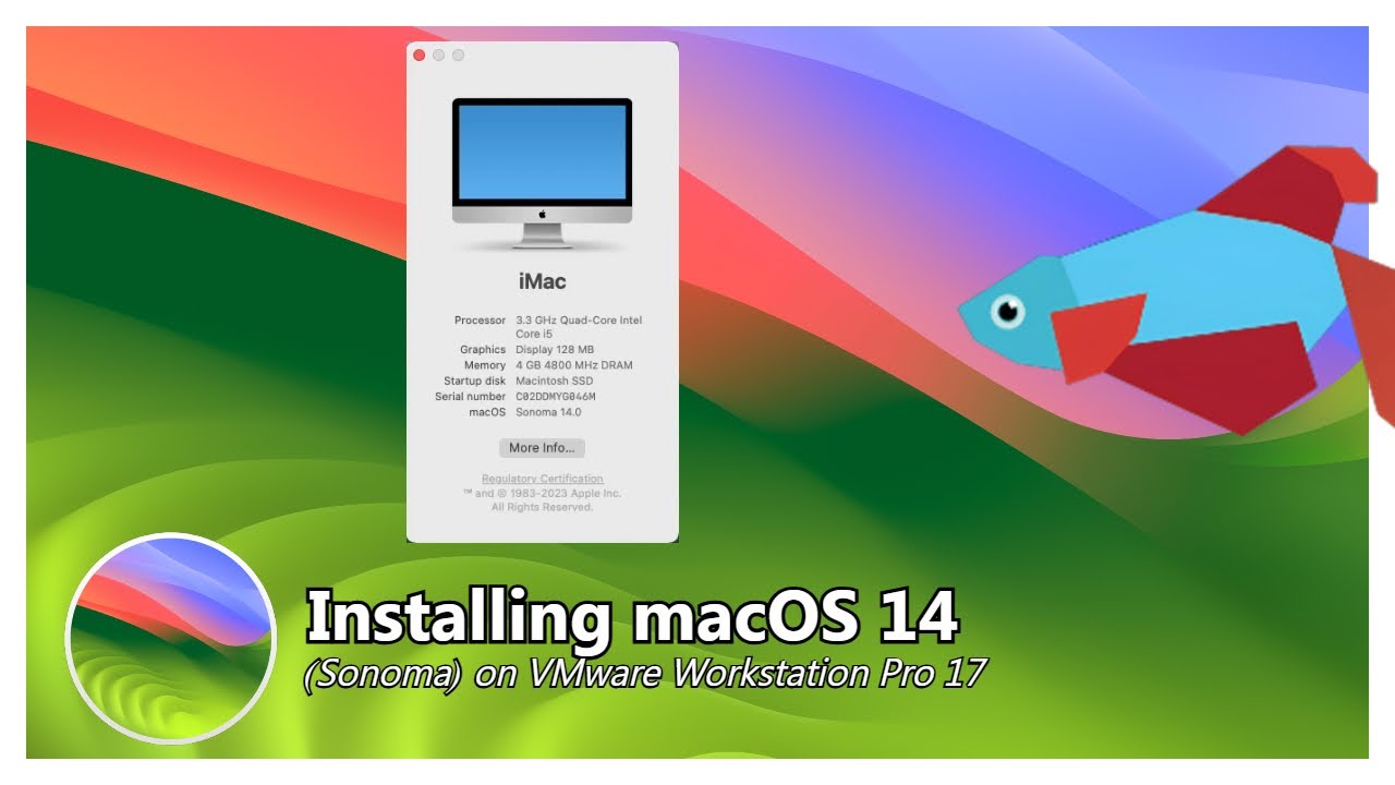 Installing macOS 14 Sonoma on VMware Workstation Pro 17 - YouTube