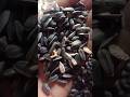 seed mix for love birds