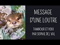 Hypnose chamanique  message dune loutre