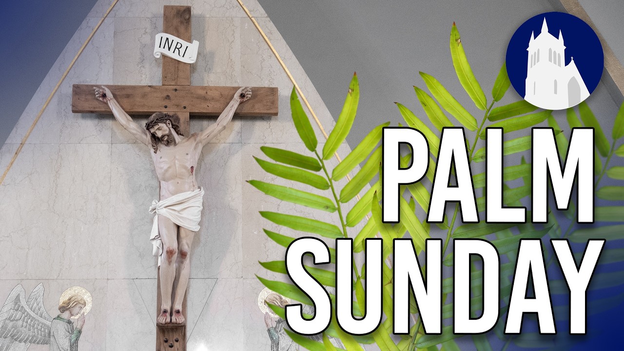 Palm Sunday Mass LIVE at St. Mary’s | March 29, 2026
