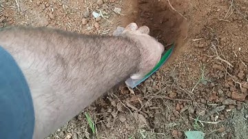 Tarsacci on a Hammered Edward the II 1307-1327 with nail in hole