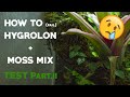 Test of Hygolon and moss mix part 2 - Epic fail