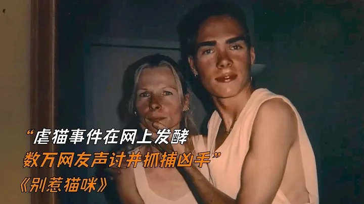 虐貓事件在網上發酵，數萬網友聲討並抓捕兇手《別人貓咪》 - 天天要聞