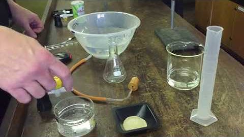 Enzyme Concentration and Rate of Reaction