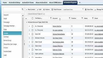 ActionGrid Feature - Grouping & Sub-totaling