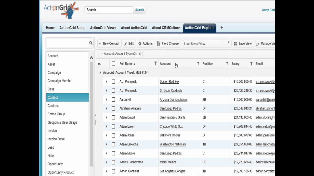 ActionGrid Feature - Grouping & Sub-totaling