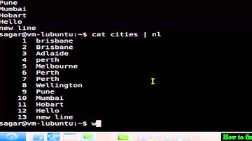 How to find total number of lines in a file in Ubuntu