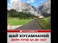 УМАР ХЕХОЕВ ШАЙ Х1УСАМНАНОЙ ДОЛА ХУНД ЦА ДО АШ? ХЬЕХАМ