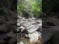 #nature #naturesounds #korea #mountains #valley #cool #자연 #asmr #백색소음 #계곡 #바위 #rock #무주 #발담그기좋은곳 #추천