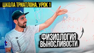 Физиология выносливости и силы. Школа триатлона: урок 1.