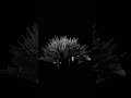 BARBED CONFORMAL // Procedural Raycast [Blender 5.1] #shorts  #blender3d