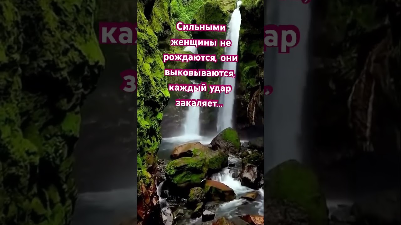 #onthisday #цитатыпрожизнь #цитатыосмысле #цитатыпрожизнь #сильныесловасосмыслом#сильнаяженщина