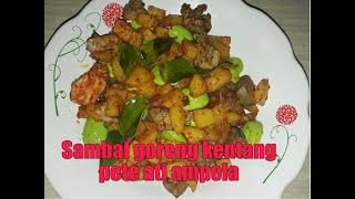 Menu Spesial Lebaran Sambal goreng Krecek Pedas