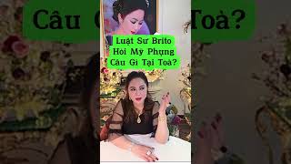 Luật Sư Brito Hỏi Mỹ Phụng Câu Gì Tại Toà? #nguyenphuonghang #fancohangchudung #tintuc #giaitri