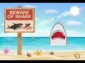 Survival skills how to deal with a shark