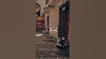 وَمَا كَانَ النَّاسُ إِلَّا أُمَّةً وَاحِدَةً فَاخْتلفوا...تلاوة جميلة بصوت القارئ عبد الرحمن مسعد🌿💗