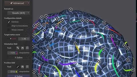instant meshes (brain topology)拓扑脑