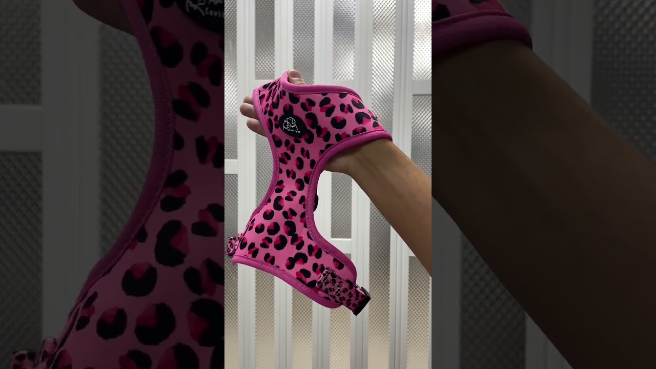 Bianca adjustable dog harness