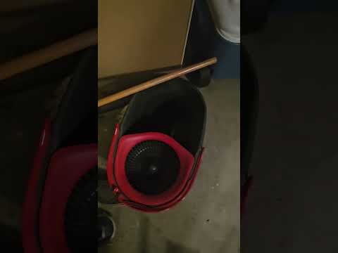 أشلي ضد سنجاب المرآب سروال فيروسي سنجاب فاتن