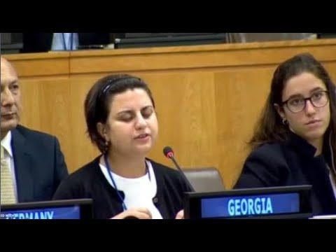 ქართველმა ახალგაზრდამ გაერო-ში რუსეთის წარმომადგენელს ოკუპანტობა შეახსენა