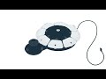Beginning of video