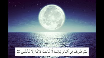 مقام نهاوند مدهش من سورة طه