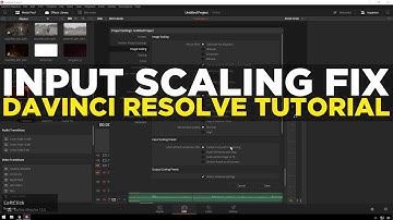 Fix XML Input Scaling Problem - Davinci Resolve Tutorial