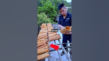 You’ve Been Eating Tree Bark This Whole Time 😳 #shorts