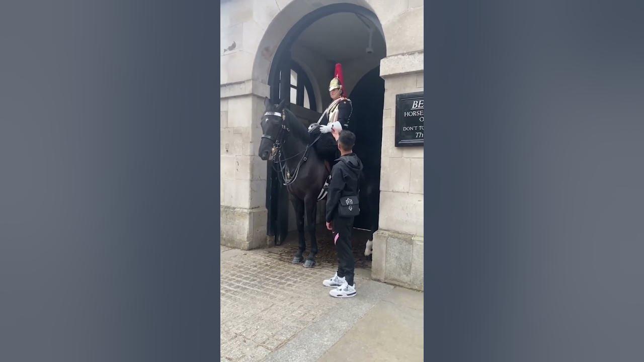 TikToker HUMBLED: A social media ‘prankster’ was arrested after ‘interviewing’ King’s Guard horses😳🚨