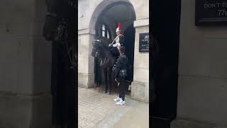 TikToker HUMBLED: A social media 'prankster' was arrested after 'interviewing' King's Guard horses😳🚨