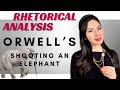 English professor discusses irony  performs rhetorical analysis on orwells shooting an elephant 