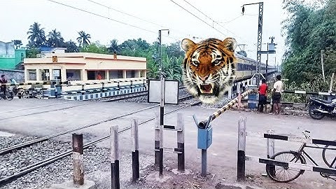 Dangerous Angry TIGER Speed : Jangipur-Sealdah MEMU Furious Moving Throughout At Railgate
