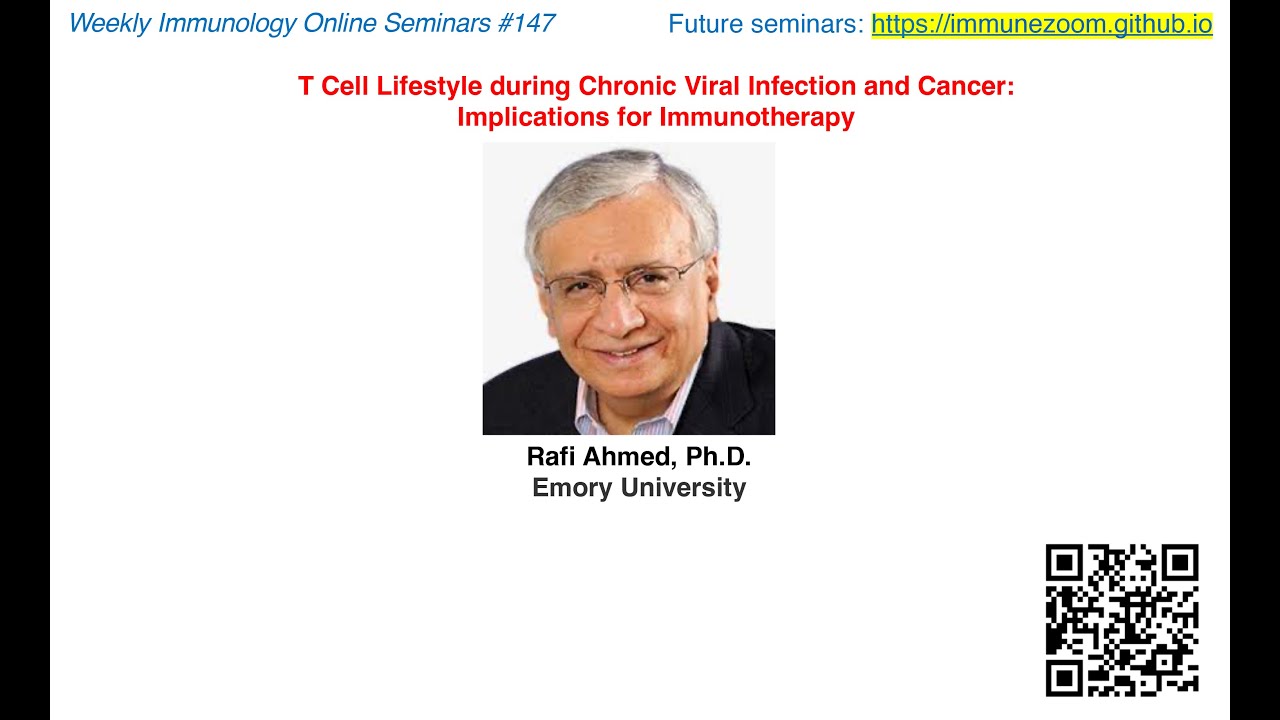 T Cell Lifestyle during Chronic Viral Infection and Cancer ...