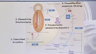 BT732_Topic235