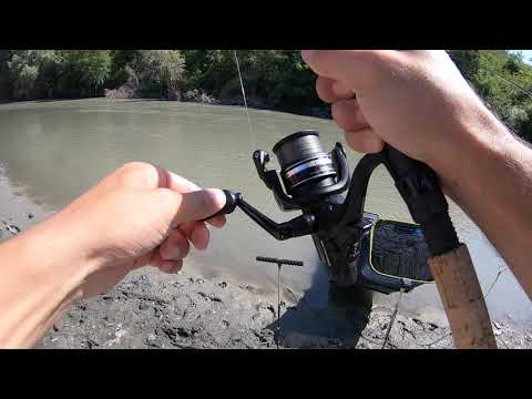 შამაიაზე თევზაობა , ალაზანი 10.08.19