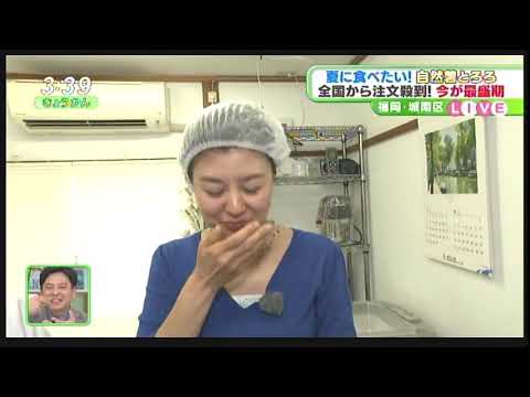 今日感テレビ『麦とろの日』