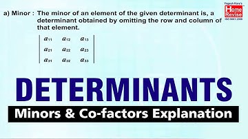 Minors And Co-factors Explanation In Determinants | Class 12- Maths | CBSE Board | Home Revise
