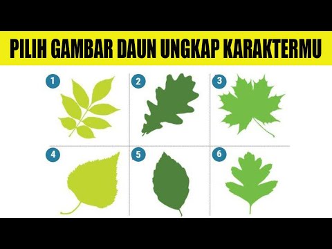 Video: Bagaimana Memilih Psikologi Peribadi