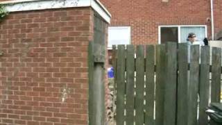 Tenants From Hell Top Valley