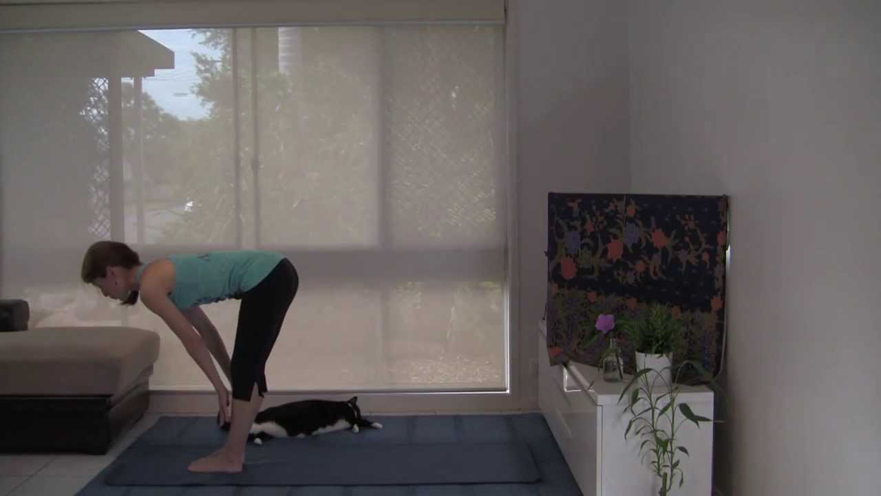 Gentle Hatha Yoga Flow ~ Release Upper Back and Shoulders (45 min full class)