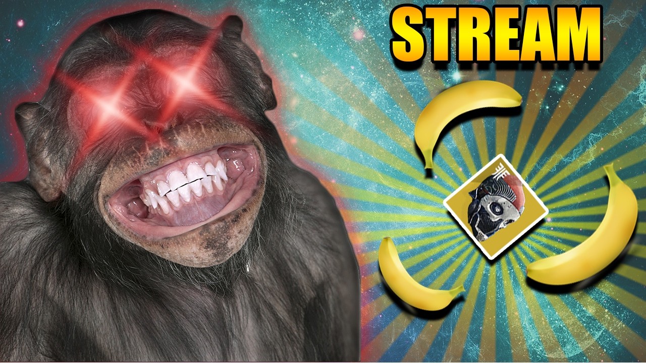 We Just Chilling My DUdes. - Destiny 2