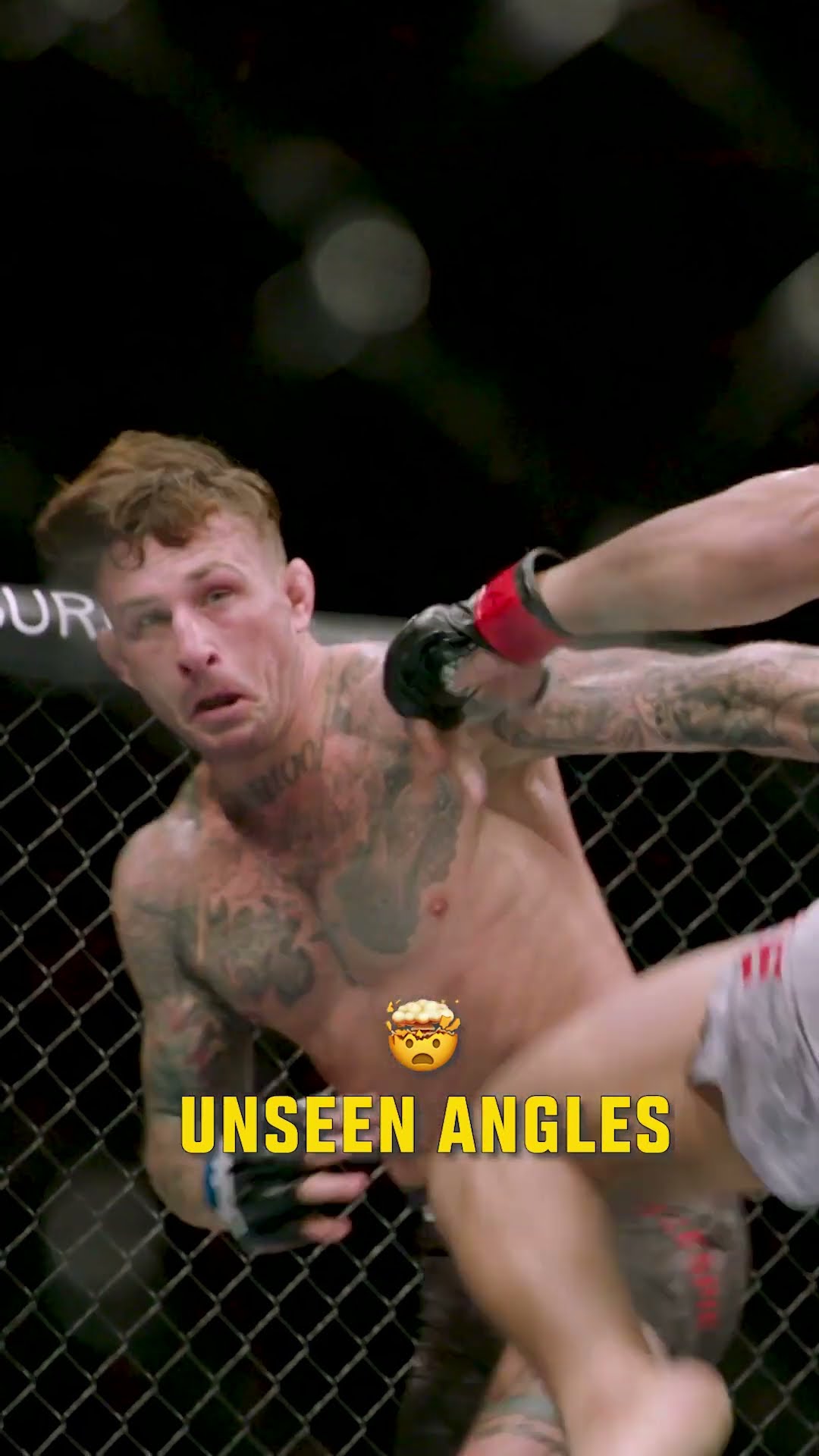 this headkick KO is NASTYYYY ? #shorts
