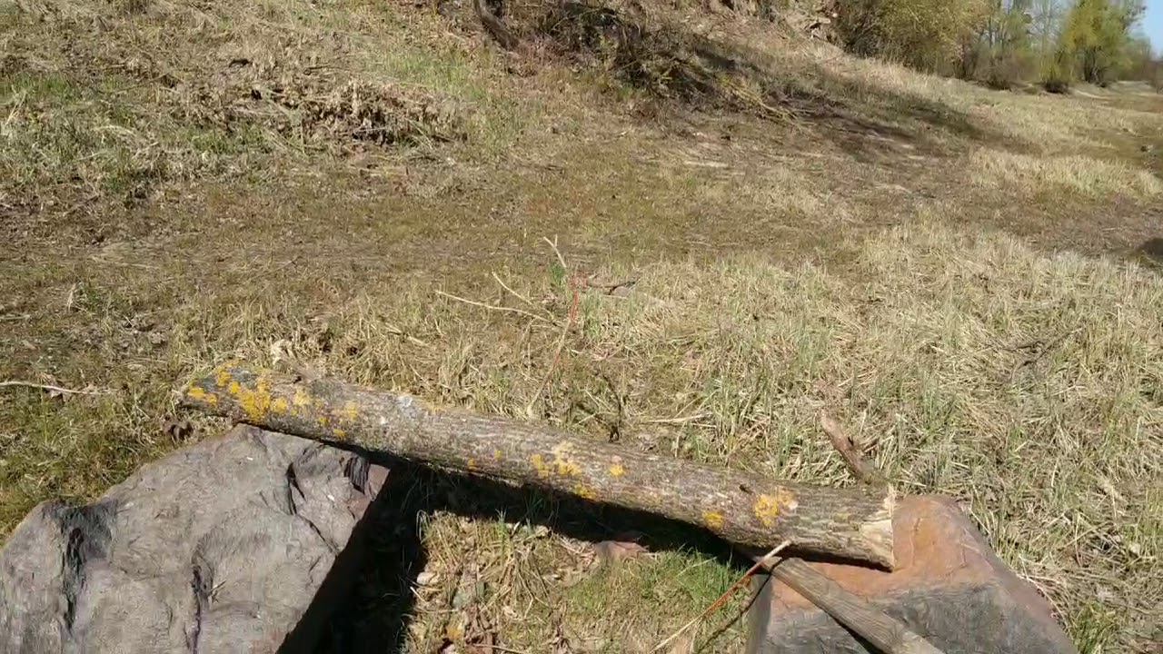 У кромки воды.#СтарыйНаровлянскийПсрк. - YouTube