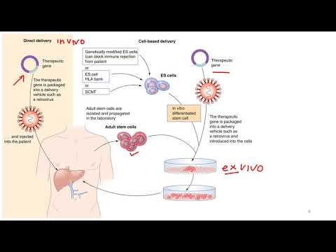 Video: Kemajuan Dalam Pengiriman Terapi RNA: Dari Konsep Ke Realitas Klinis