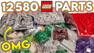 12,580 LEGO Parts & I'M BLOWN AWAY BY THIS! screenshot 4